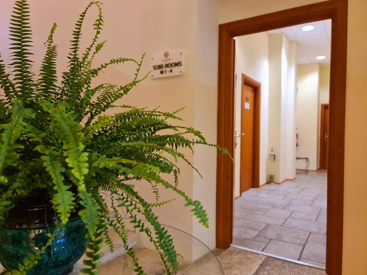 Hotel Stara Sola - Oleander Resort Korte エクステリア 写真